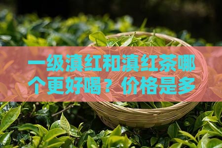 普洱茶一级滇红好喝吗多少钱