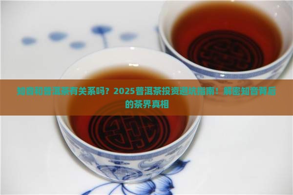 知音和普洱茶的关系