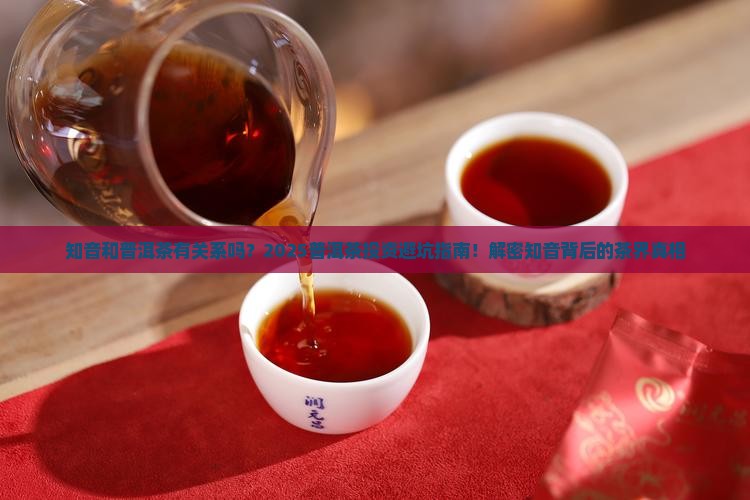 知音和普洱茶的关系