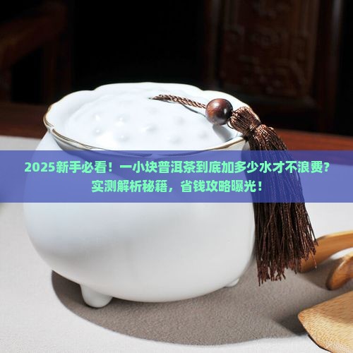 普洱茶一小块需要加多少水