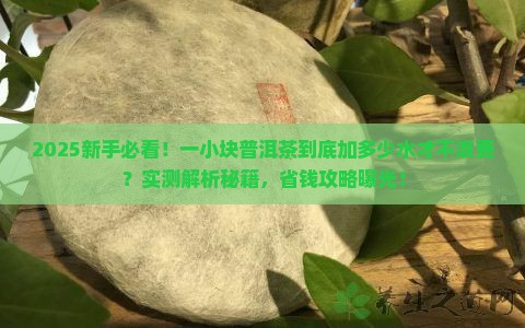 普洱茶一小块需要加多少水