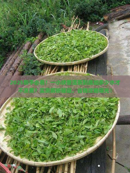 普洱茶一小块需要加多少水