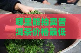哪里能拍卖普洱茶价格最低