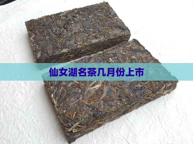 仙女湖名茶几月份成熟