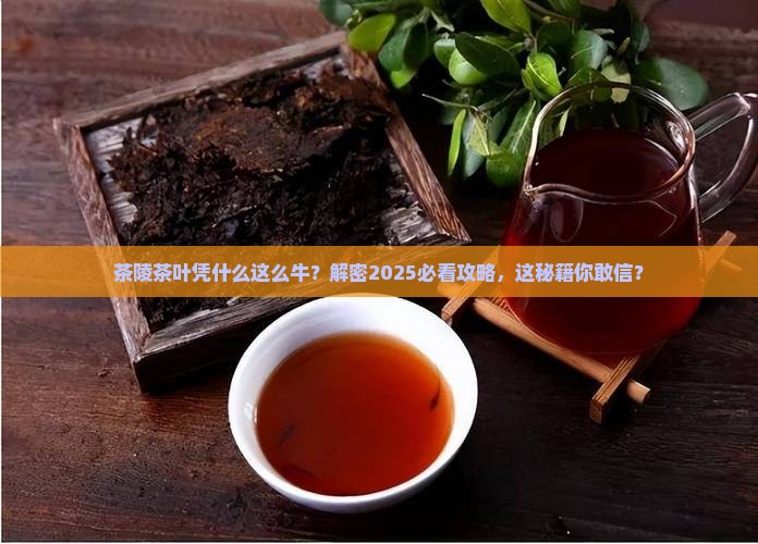 茶陵的茶叶为什么出名 茶陵的茶叶为什么出名