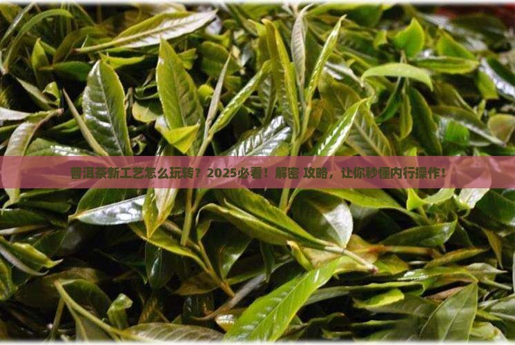 普洱茶的新工艺怎么做的