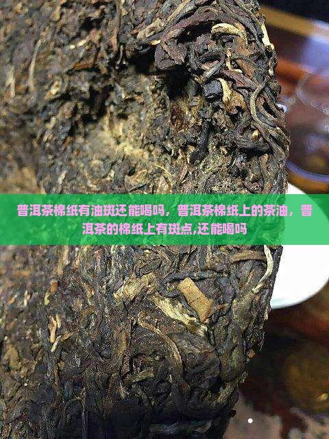 普洱茶棉纸有油斑