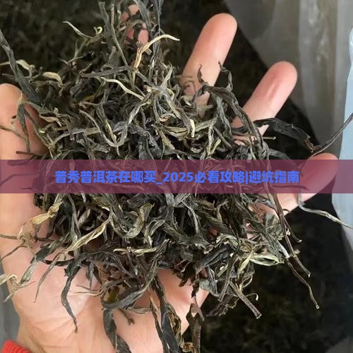 普秀普洱茶在哪买