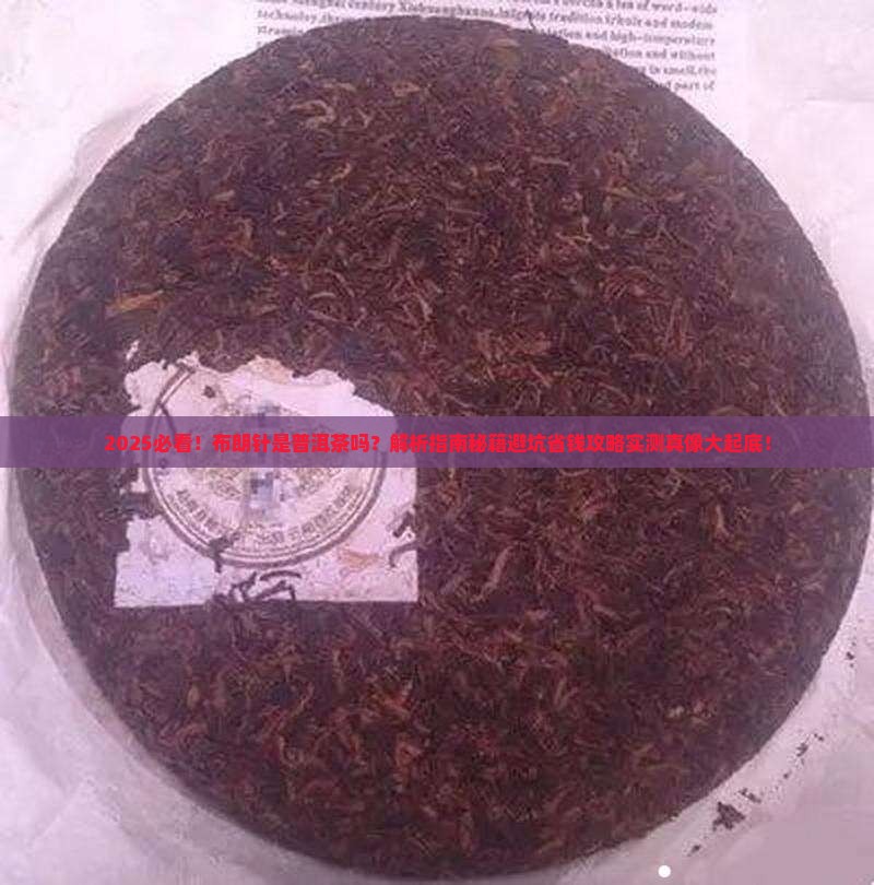布朗针是普洱茶