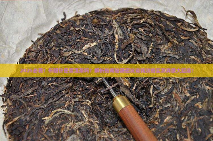 布朗针是普洱茶