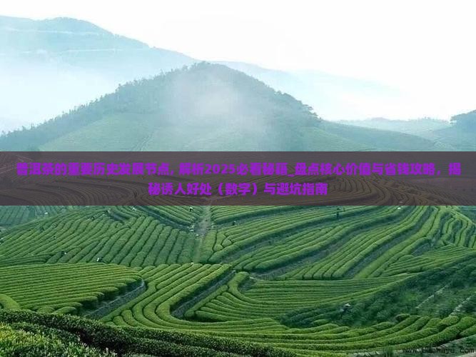 普洱茶的重要历史发展节点