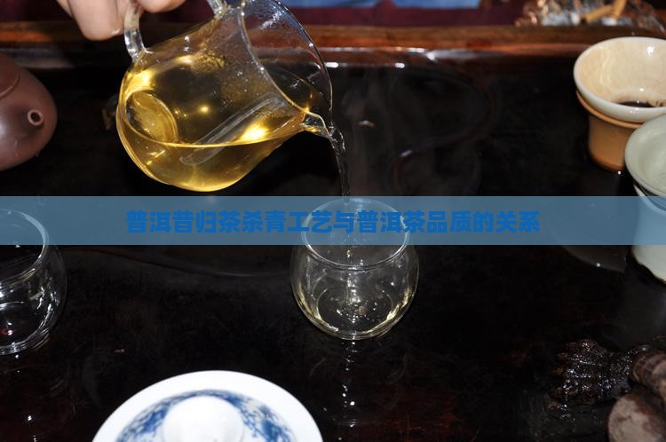 邦东昔归茶杀青