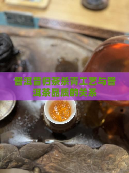 邦东昔归茶杀青
