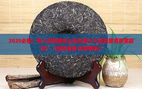 抖音六大基地普洱茶