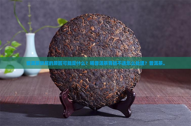 喝普洱茶屁多怎么办
