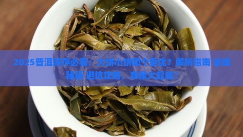 普洱茶存大饼还是小饼好