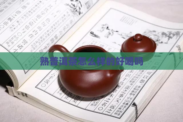 熟普洱茶怎么样的好喝吗