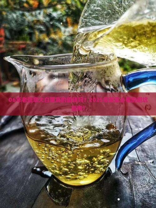06年老班章大白菜