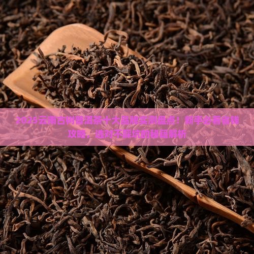 云南古树普洱茶十大品牌