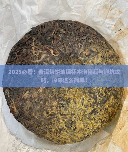 普洱茶饼普通玻璃杯冲泡法