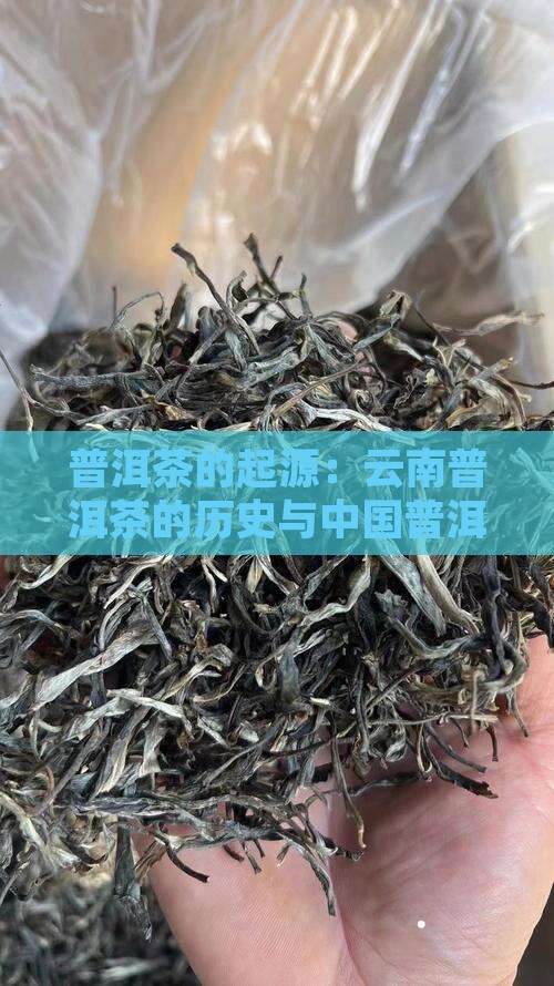云南普洱茶的起源