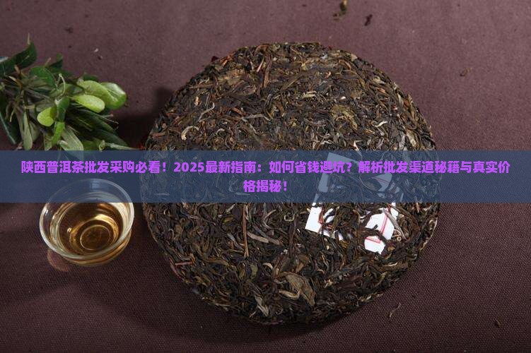 陕西普洱茶批发采购