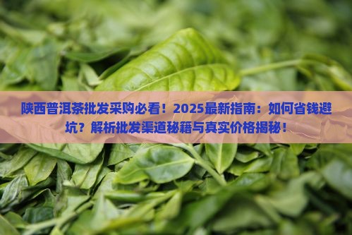 陕西普洱茶批发采购