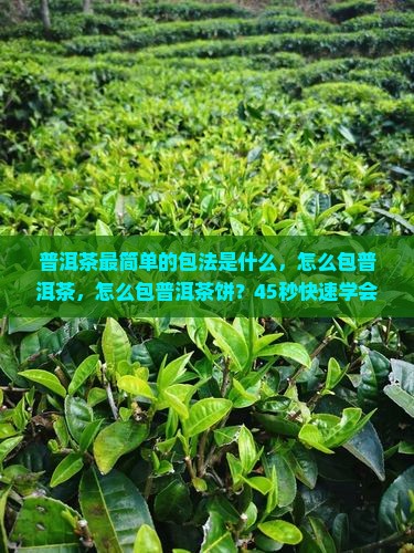 普洱茶最简单的包法