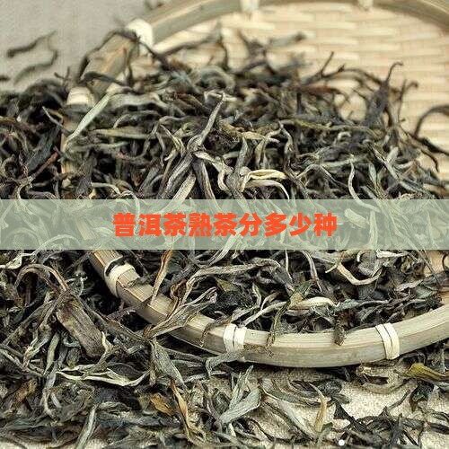 普洱茶熟茶分多少种