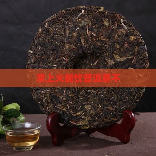 常上火能饮普洱茶不