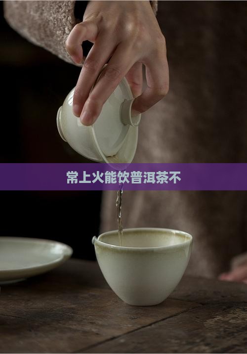 常上火能饮普洱茶不