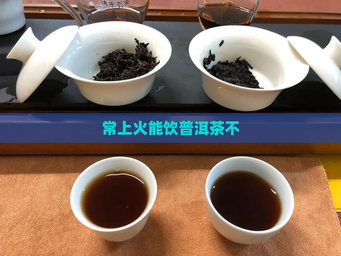 常上火能饮普洱茶不
