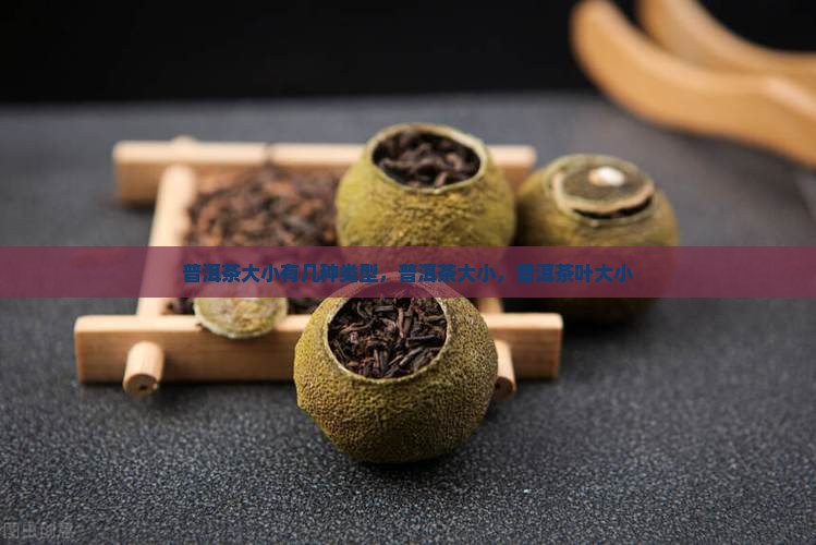 普洱茶大小有几种类型