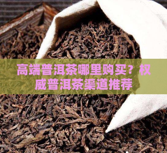 高端普洱茶供货渠道