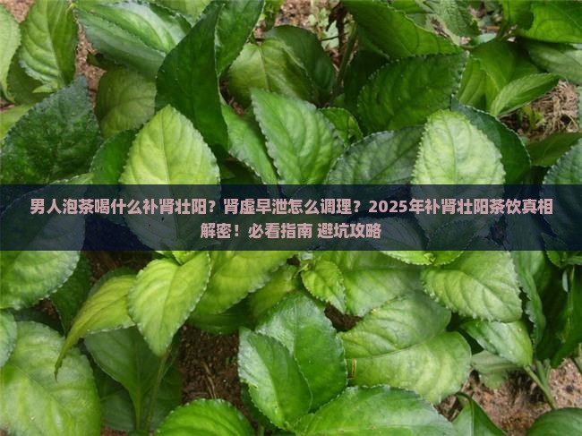 男人泡茶喝什么补肾壮阳