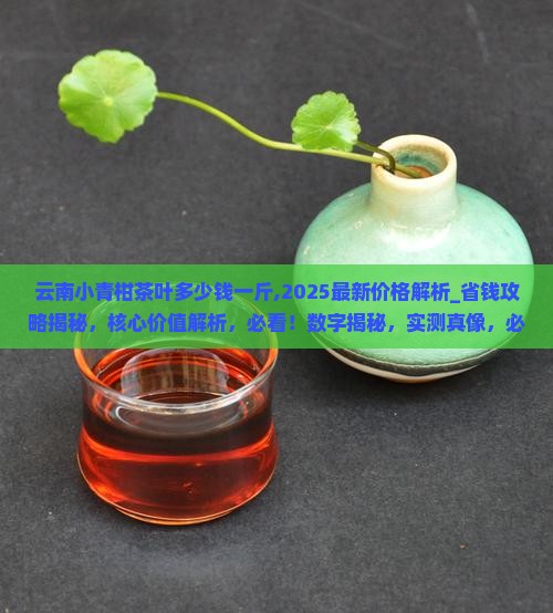 云南小青柑茶叶多少钱一斤