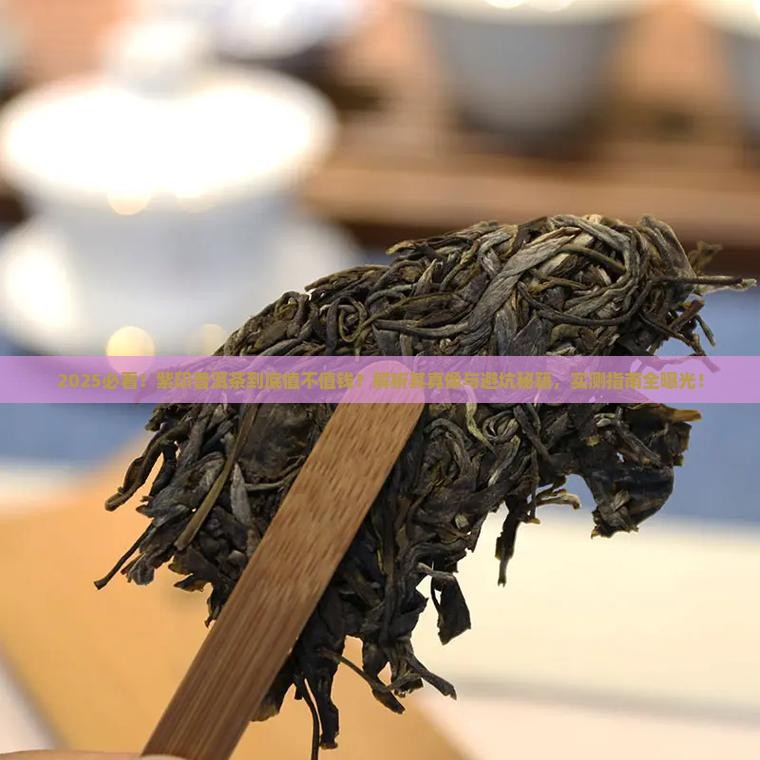 紫印普洱茶是什么
