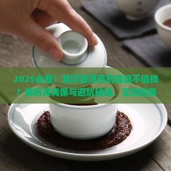 紫印普洱茶是什么