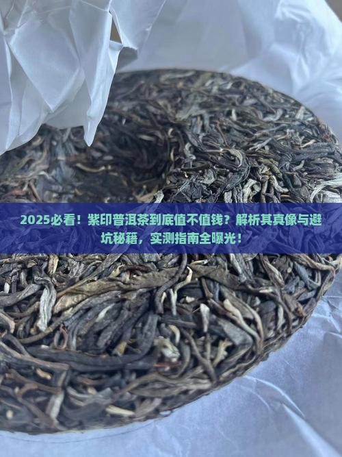紫印普洱茶是什么
