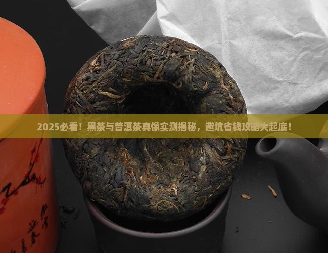 如何区分黑茶和普洱茶