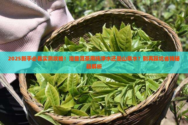 泡普洱茶用纯净水还是山泉水
