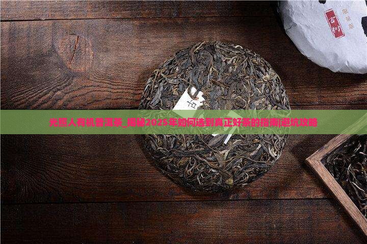 光照人有机普洱茶