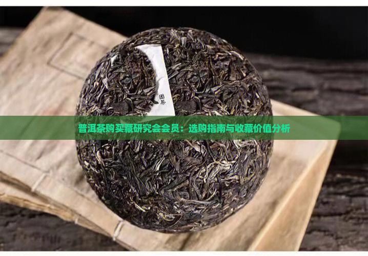 普洱茶购买藏研究会会员