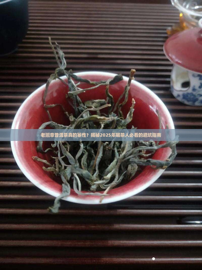 老班章普洱茶是寒性