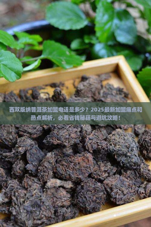西双版纳普洱茶加盟电话