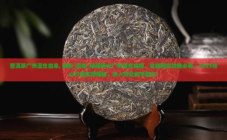 普洱茶广州湿仓由来