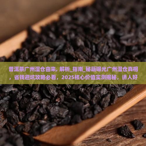 普洱茶广州湿仓由来