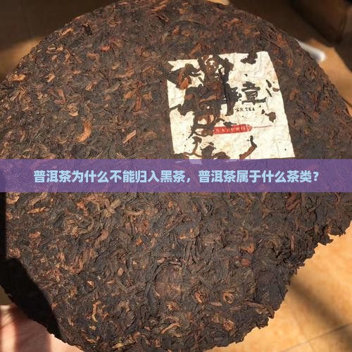 普洱茶为什么不能归入黑茶