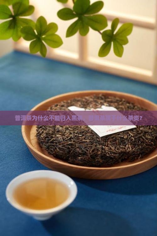 普洱茶为什么不能归入黑茶