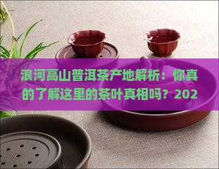 浪河高山普洱茶产地